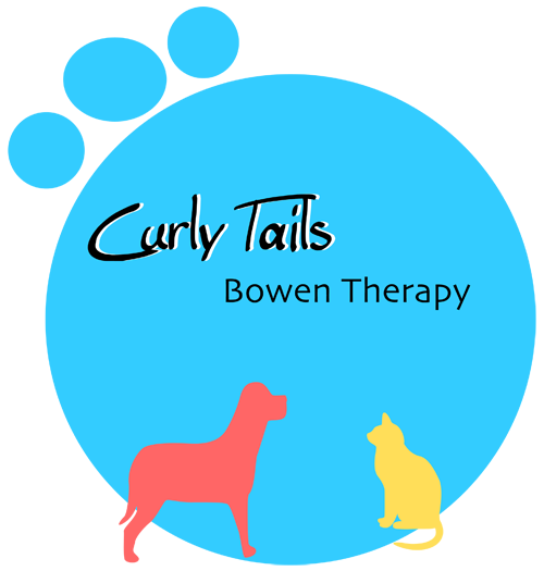 bowen therapy and emmett technique for animals